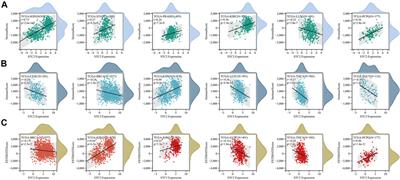 Transcriptome and pan-cancer system analysis identify PM2.5-induced stanniocalcin 2 as a potential prognostic and immunological biomarker for cancers